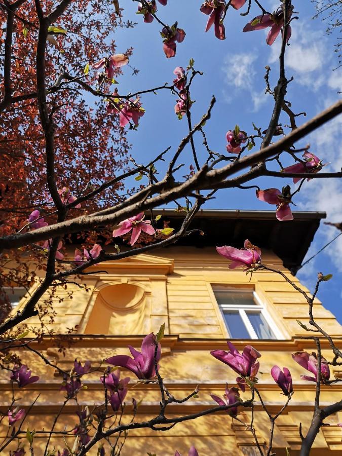 הוסטל Vila Veselova, Ljubljana City Center מראה חיצוני תמונה
